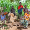 Djumansi og hendes familie samlet under det store skyggefulde træ på gårdspladsen. Kun hendes ældste storesøster er ikke hjemme. Foto: William Vest-Lillesøe